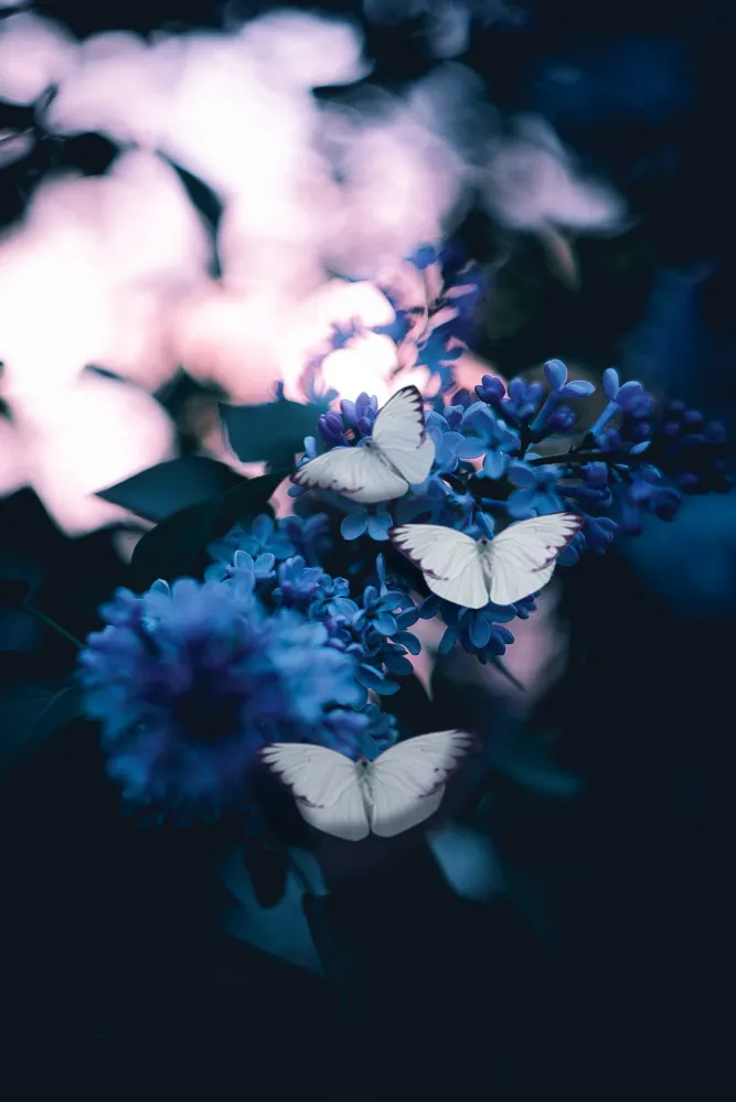 Butterflies on blue flowers at dusk to signify transformation and peace.